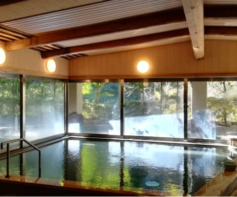 自然の景色を眺めながら入浴できる広々とした室内温泉